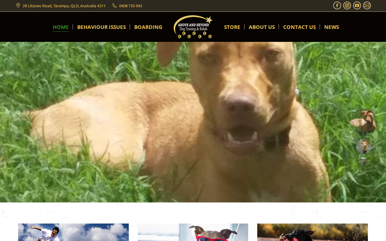Above & Beyond Dog Training, WordPress